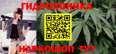 индика Пыть-Ях