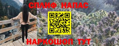 индика Пыть-Ях